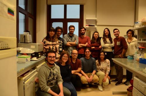 Group photo in the lab.